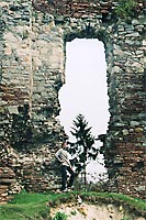 ������ ����